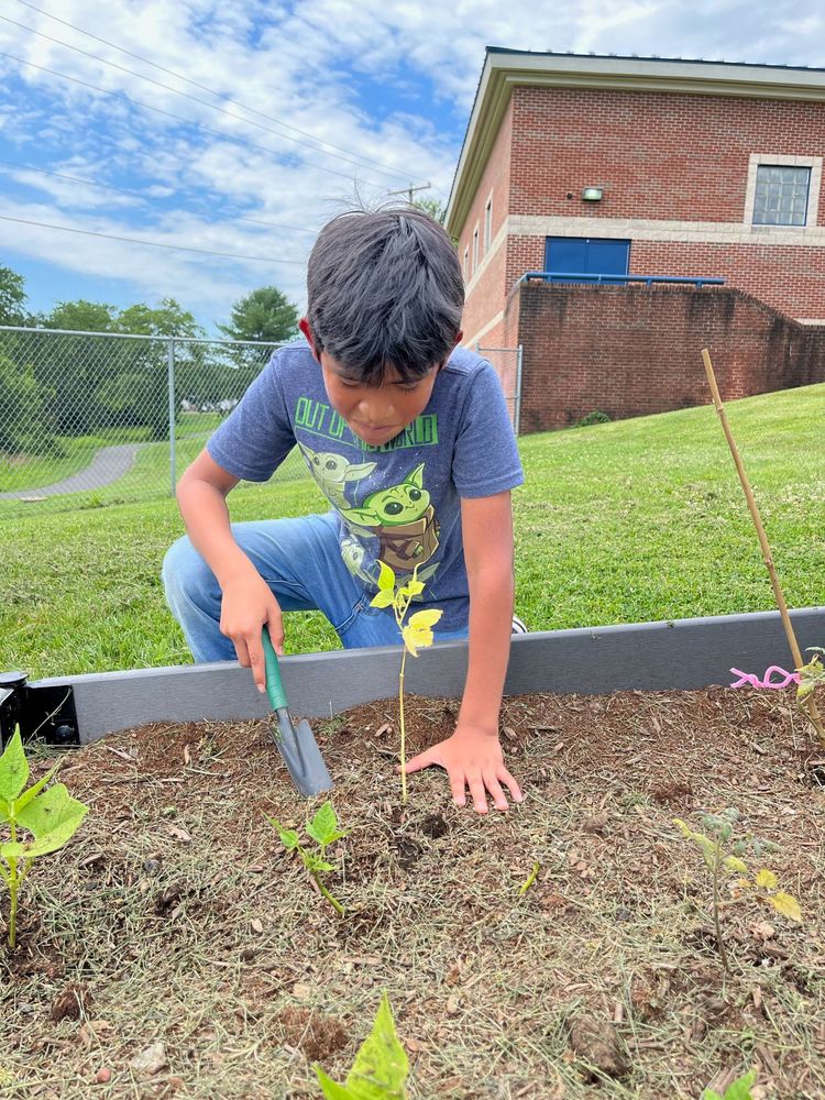 Student Working in Farmington Garden
