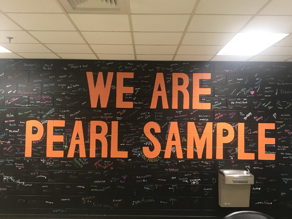 WE ARE PEARL SAMPLE wall