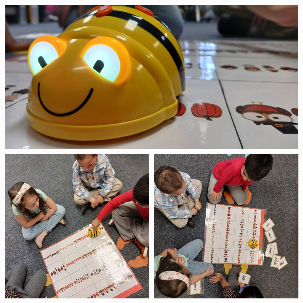 Beebot coding lesson with first grade