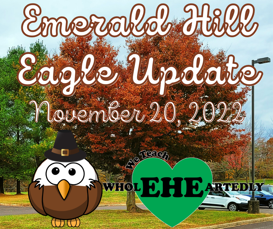 Emerald Hill Eagle Update November 20th 2022
