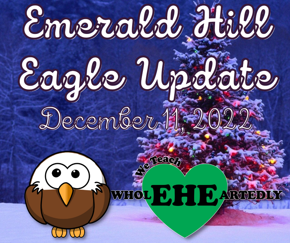 Emerald Hill Eagle Update December 11th