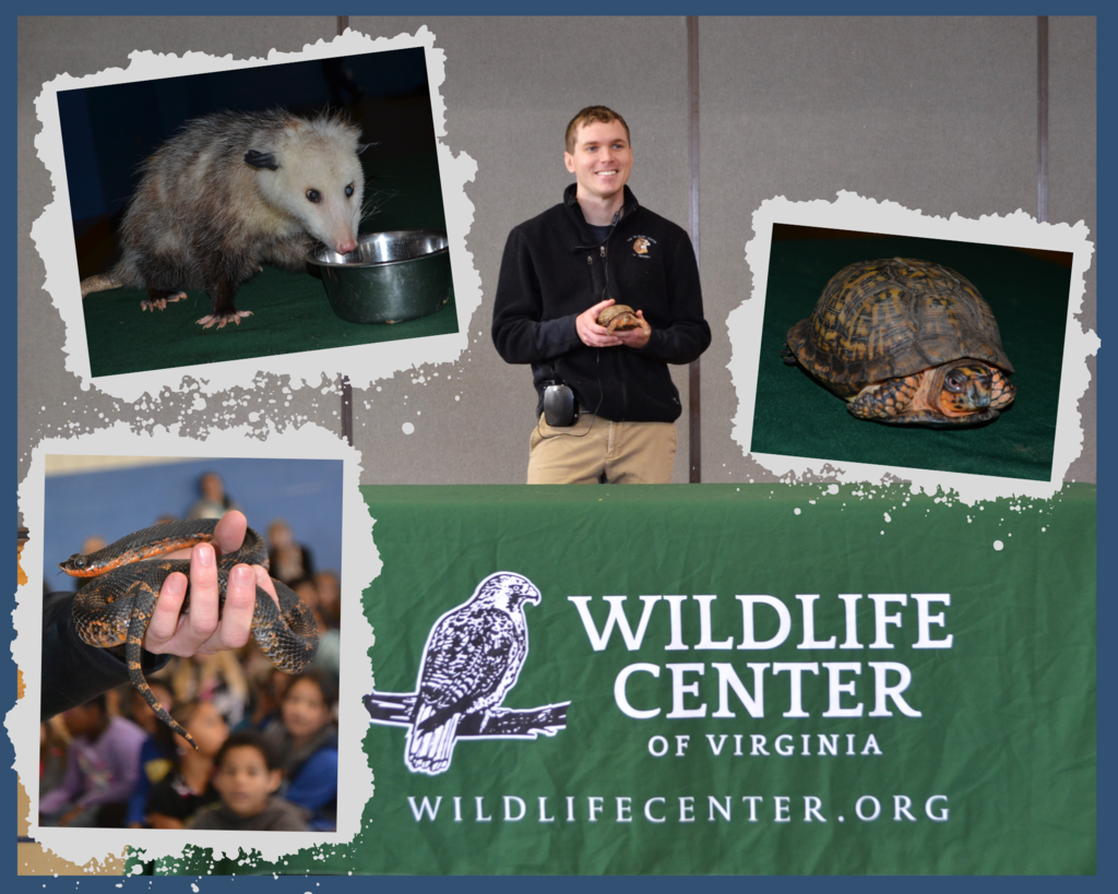 Wildlife Center of Virginia PBIS assembly