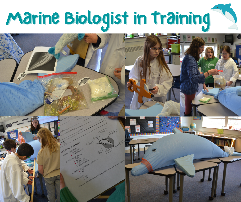 Marine Biologist in Training  Collage