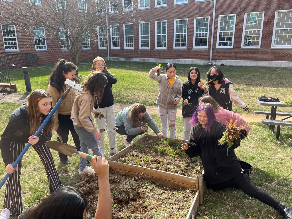 another picture of even more students putting plants in a raised bed garden