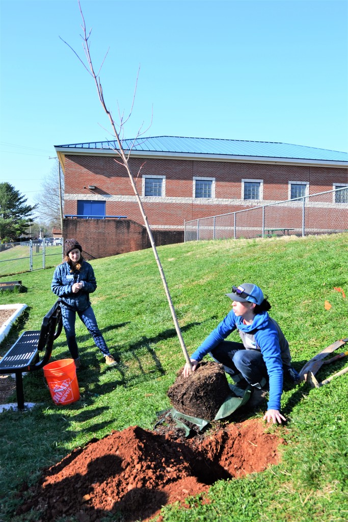 Thanks to the NOAA BWET grant and Friends of the Rappahannock, Farmington 4th grade students planted 4 new Maple trees around the school playground.  