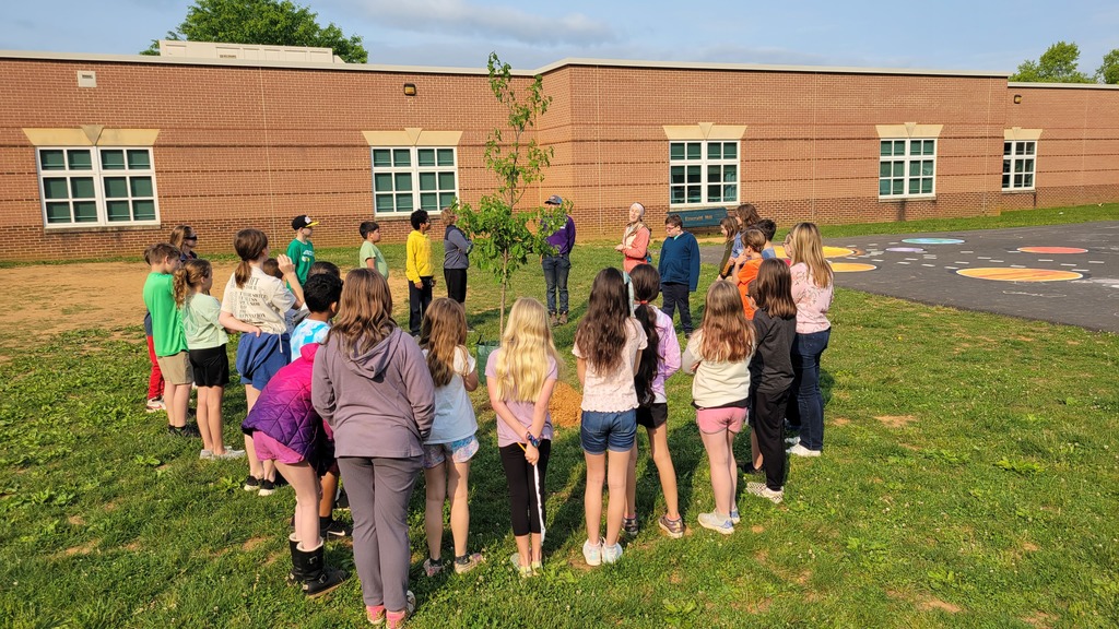 Live Feed Emerald Hill Elementary School