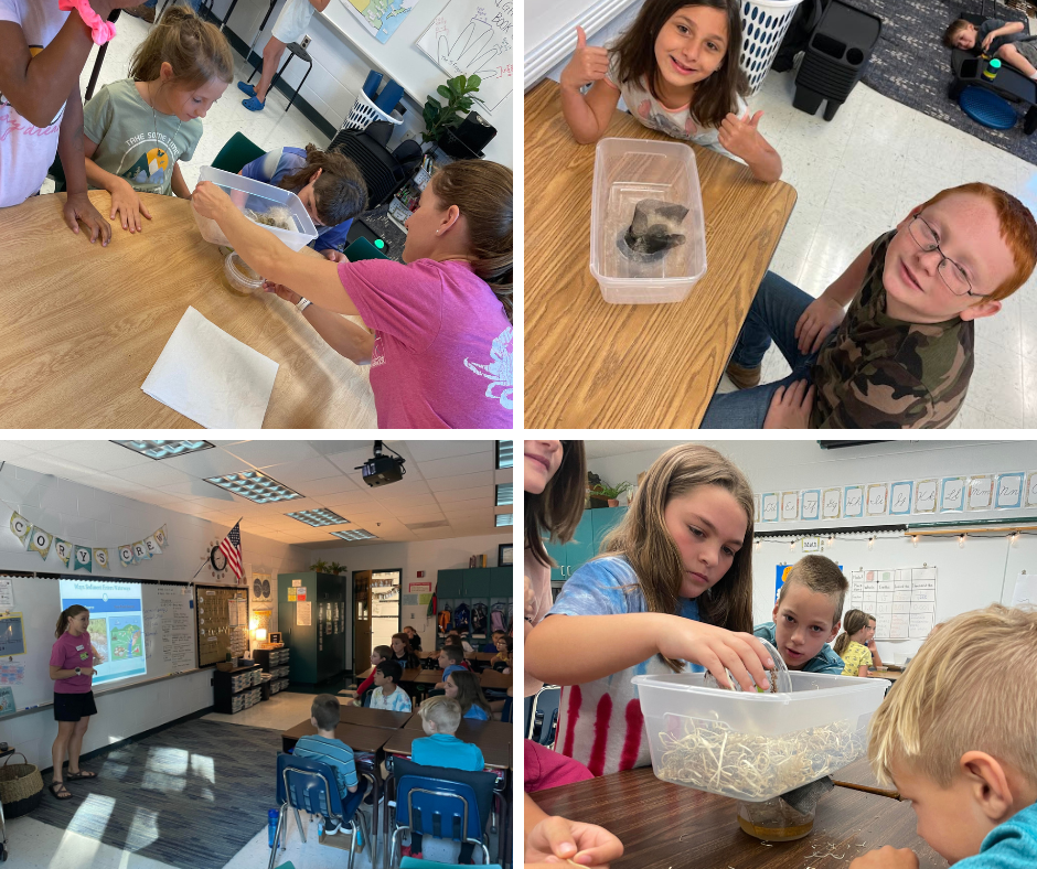 4th graders created stormwater sediment filters